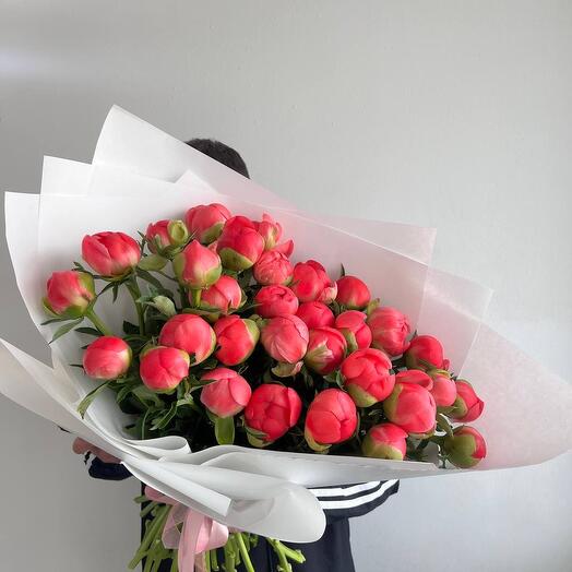 Пионы coral charm