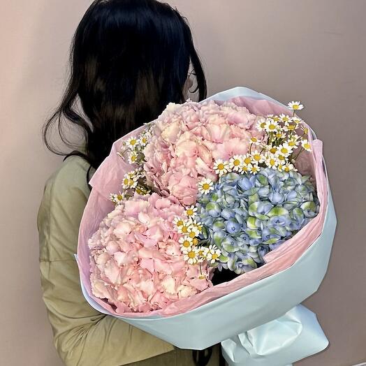 Гортензия и ромашка 🌸