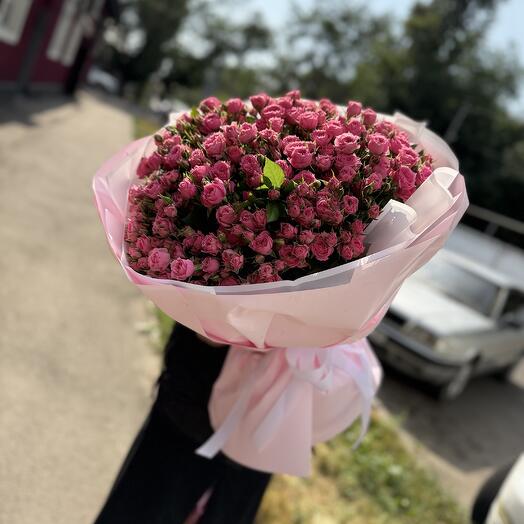 Спре  Роза София