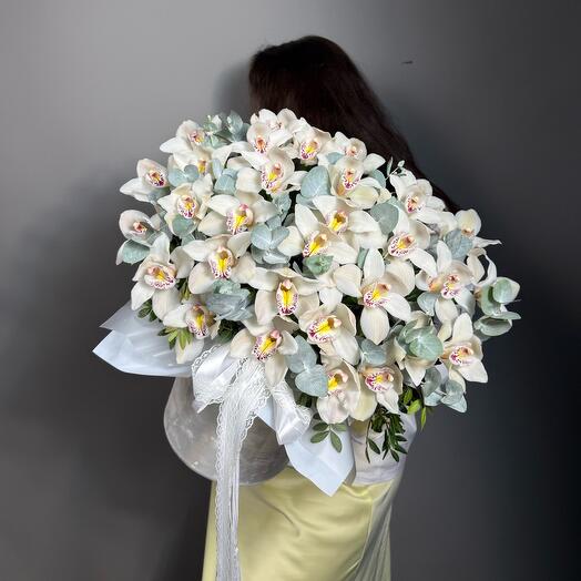 Premium orchid🤍white