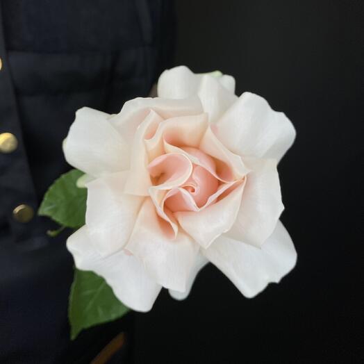 Французская роза