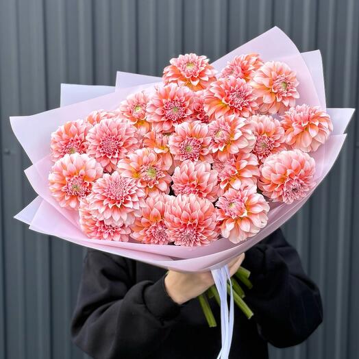 25 шаровидных георгинов Peach 🍑 EXCLUSIVE