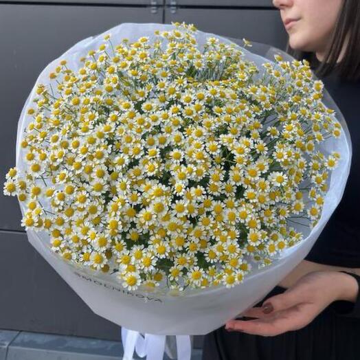 Букет ромашек из Pinterest 🌼