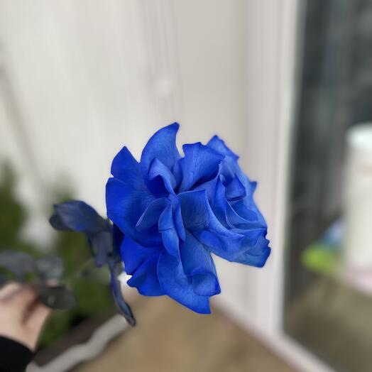 Французская синяя роза 💙