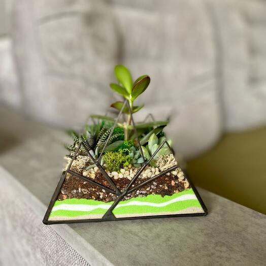 Флорариум Горы подарок на день рождения