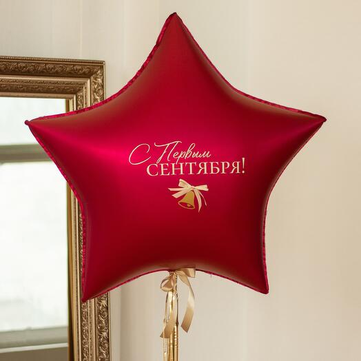 Шар из фольги с надписью «Бордо» на грузе | 36″ (91 см)