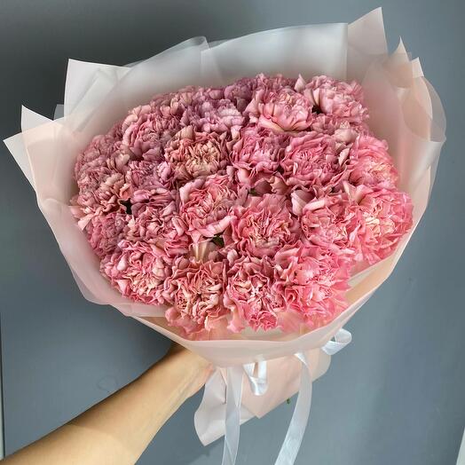 Розовые диантусы 25шт