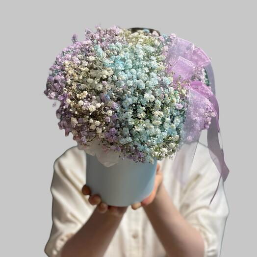 Rainbow gypsophila in a box
