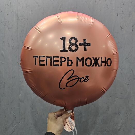 Шар фольгированный с гелием 18 теперь можно все