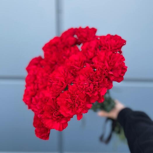 20 гвоздик красных