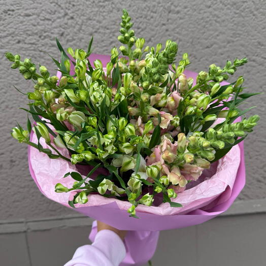 Букет цветов альстромерии с львиным зевом