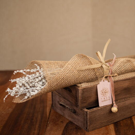 Pack de Lavanda Blanca