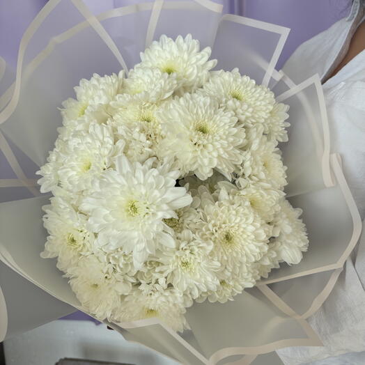 Хризантемы