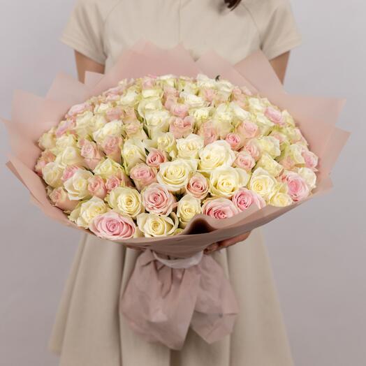 101 розовая и белая роза Pink Athena, Athena