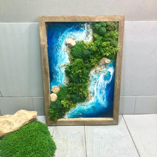 Фитокартина их мха