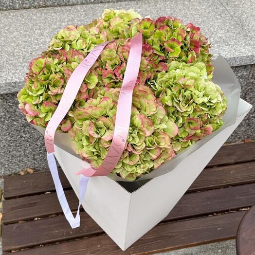 Букет из 7 премиум гортензий