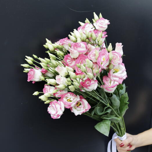 Ramo de 7 Lisianthus Rosa y Blanco