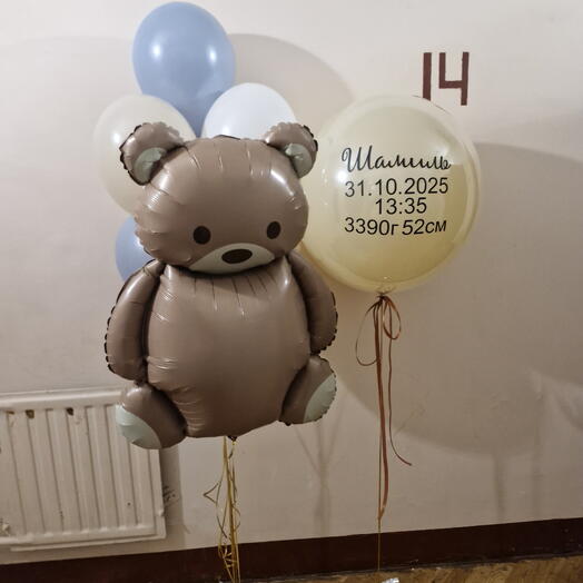 Шары на выписку