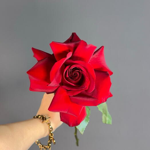 Французская Роза бордовая