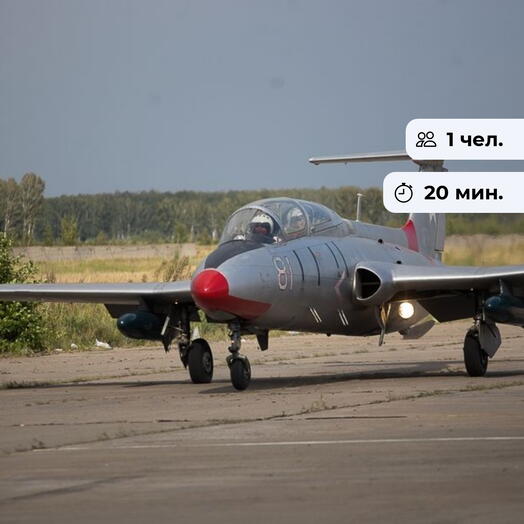 Высший пилотаж.  Полет на реактивном самолете Л-29 Дельфин