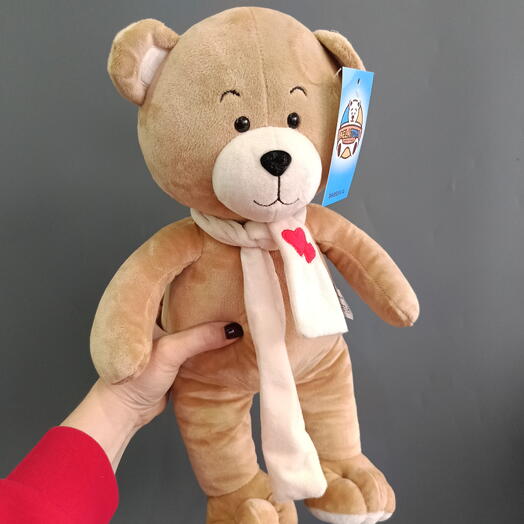 Медведь Боня
