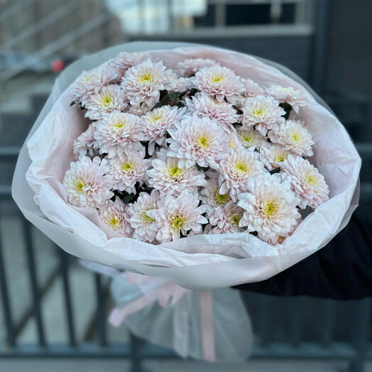 Хризантема кустовая пинк 7