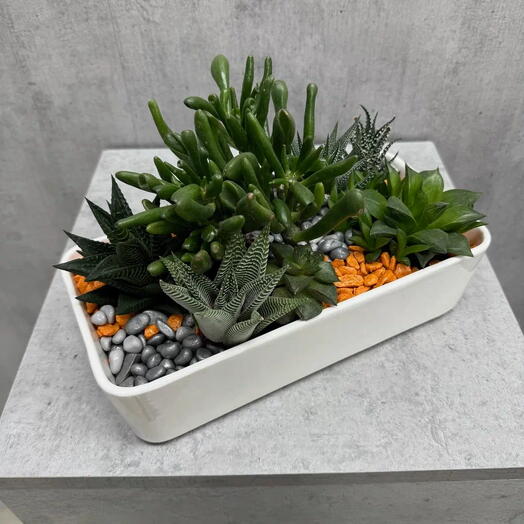 Флорариум с суккулентами насыпкой из декоративных камней в керамической вазе