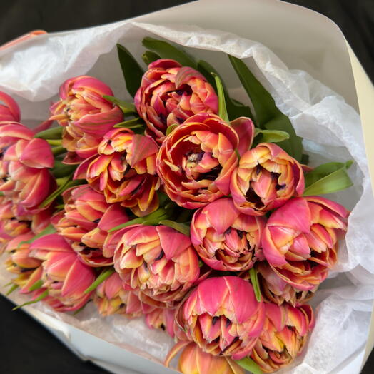 Tulipani a forma di peonia 30