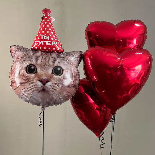 Сет шаров с котом и 3 сердцами