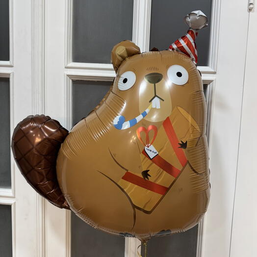 Воздушный шар бобёр в колпачке гелий. Helium balloon beaver in a party hat