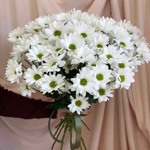 Букет из 9 ромашковых хризантем
