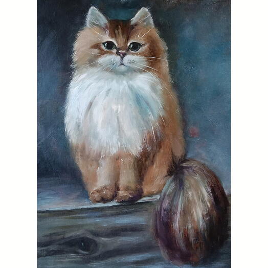 Кошка Буся