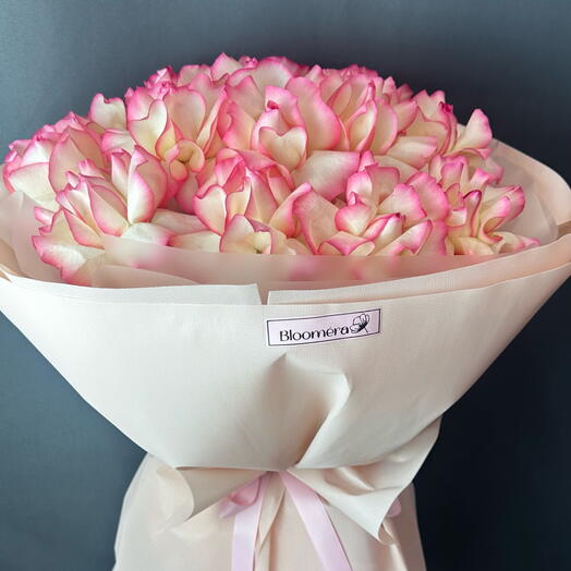 Франциялық раушан