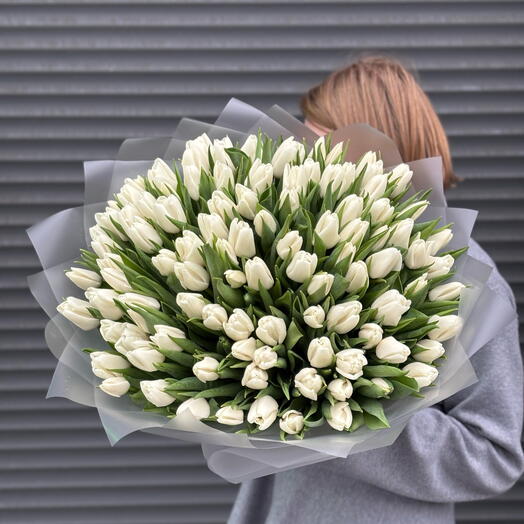 Тюльпаны белые 101