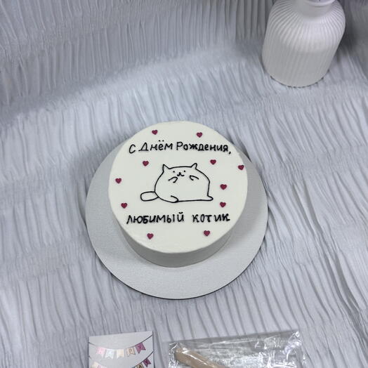 Бенто торт с днем рождения , любимый котик