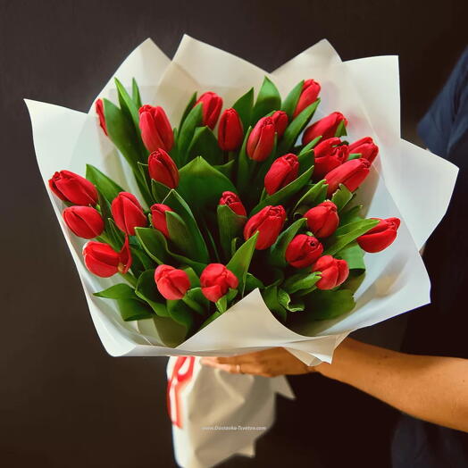 Тюльпандар 25дан Қызыл