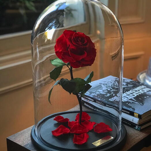 Rosa roja en frasco de Lujo en Caja de regalo con efecto Wow / 32 cm