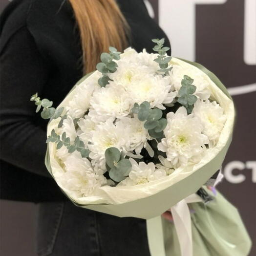 Хризантема куст ооо