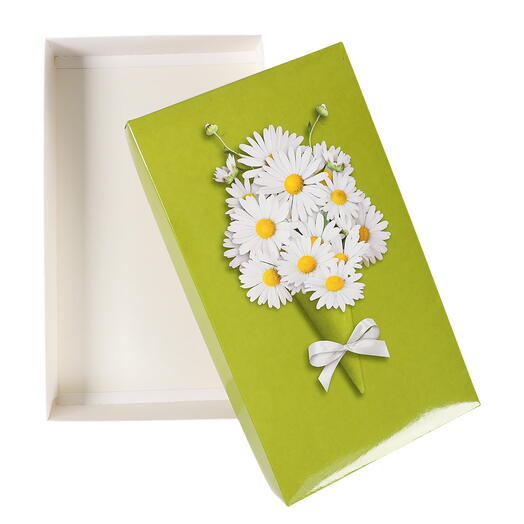 Коробка картонная  арт. КР10922