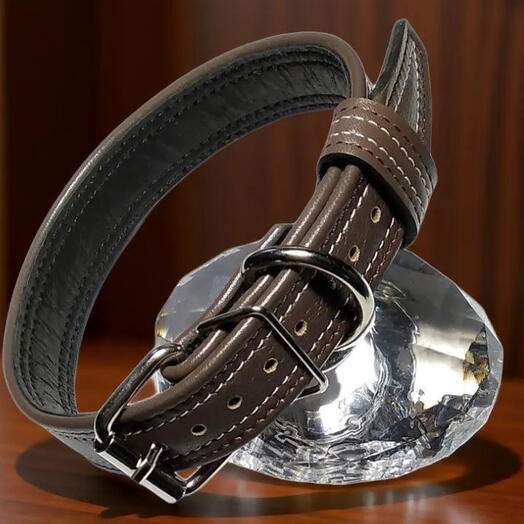 Ошейник для мелких пород собак