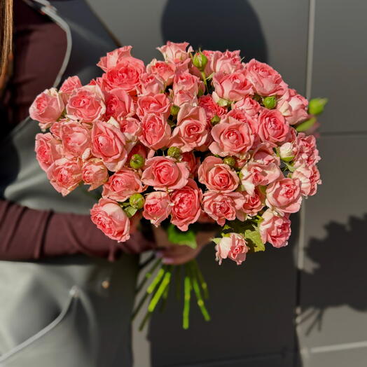 Роза кустовая Фемке 15шт
