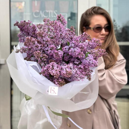 Апрельская сирень