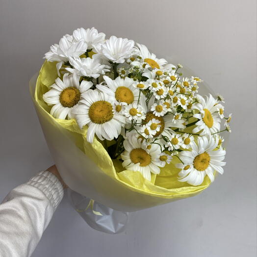 Ромашки для милашки 🥰