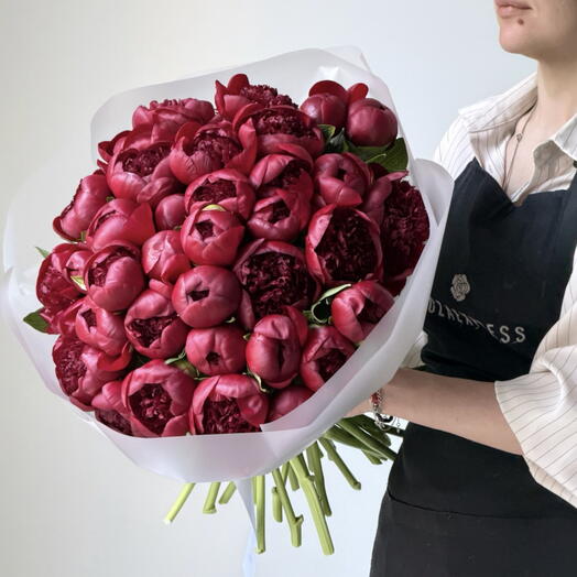 Пионы Бордовые 35 штук
