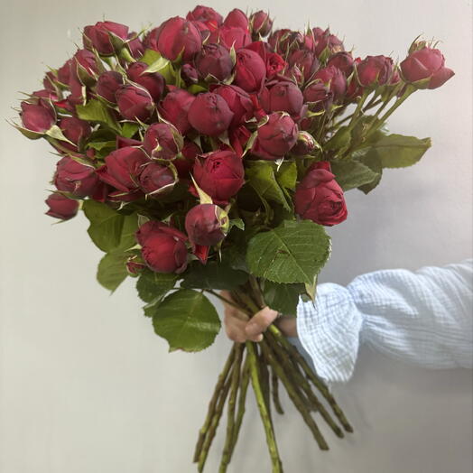 Моно букет из 15 кустовых роз