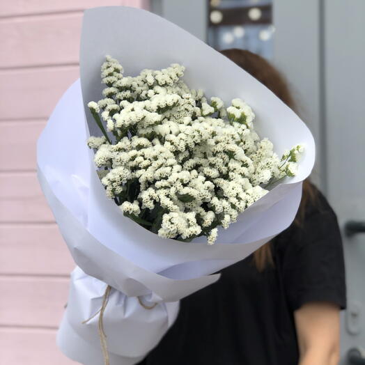 Статица