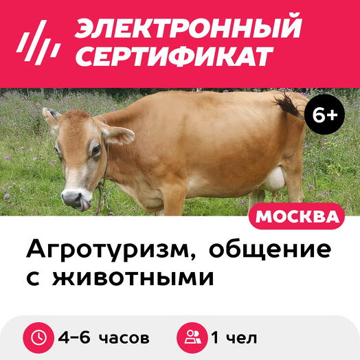 Подарочный сертификат Трудотерапия на ферме для детей и взрослых, 1 чел. (Московская область)