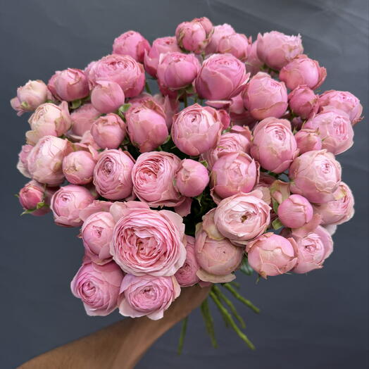 Пионовидные Роза pink