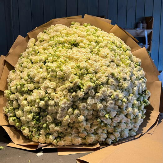 Букет из 301 кустовой розы