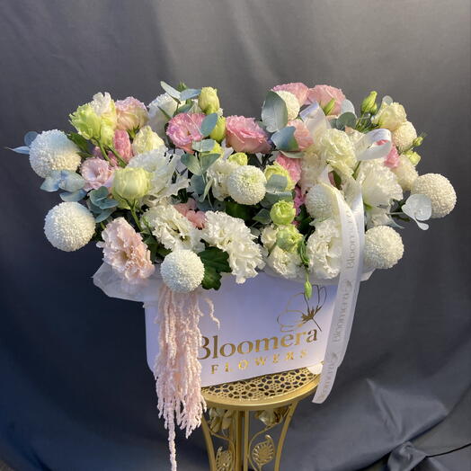 Микс Дайсон коробка